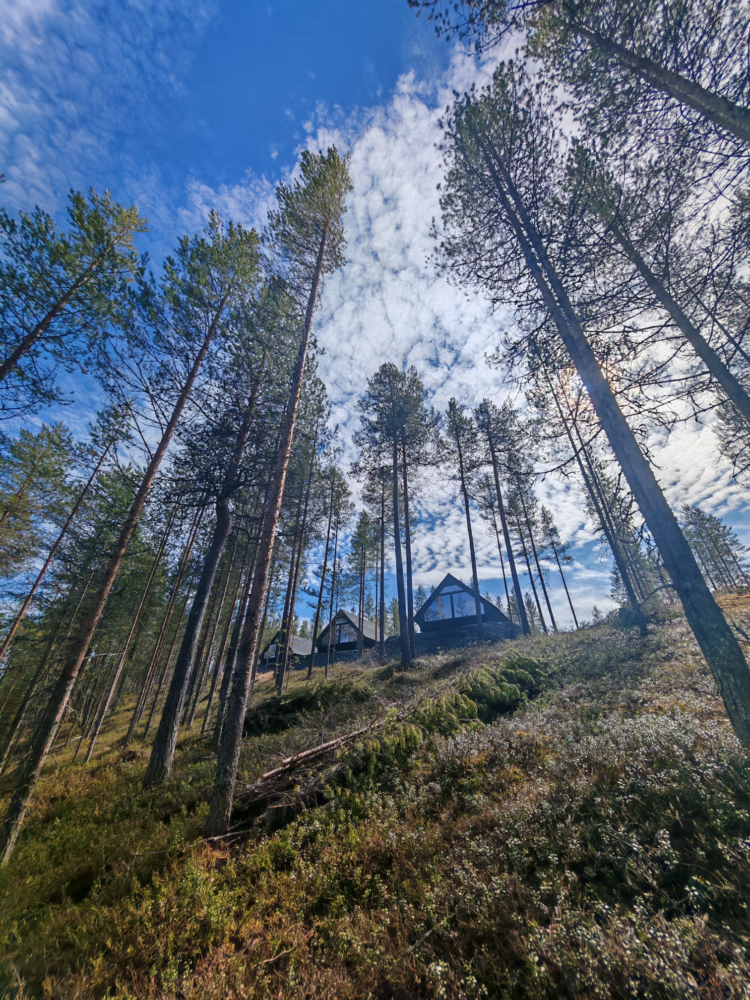 Hera Resortin mökit mäntymetsän rinteessä Kemijärvellä
