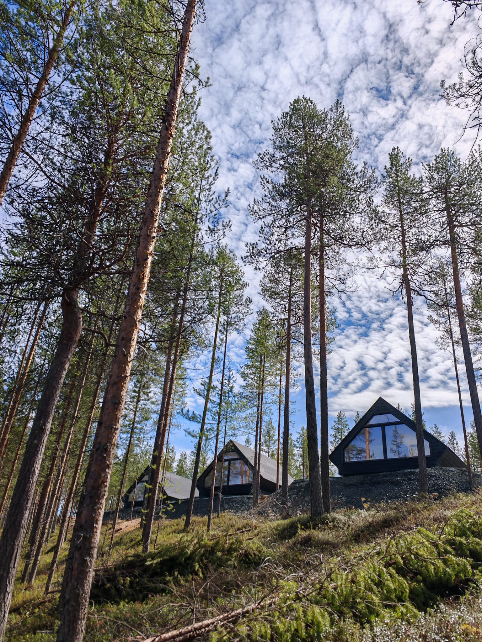 Hera Resortin revontulimökkejä Herajärven rannalla